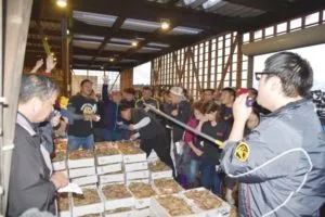 活気ある競りの様子