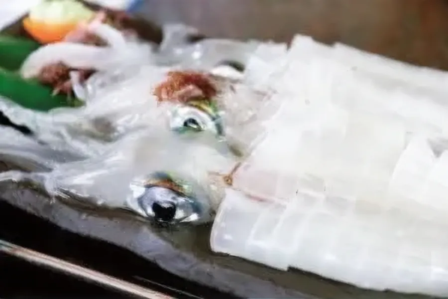 活イカと生け簀